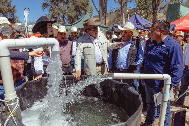 WhatsApp Image 2026 02 28 at 5.11.32 PM