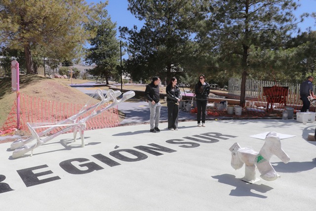 WhatsApp Image 2026 03 02 at 3.35.46 PM