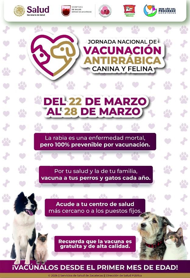 WhatsApp Image 2026 03 19 at 2.30.36 PM