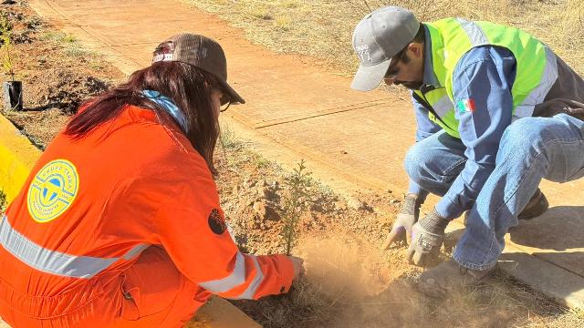 WhatsApp Image 2026 03 24 at 1.13.17 PM