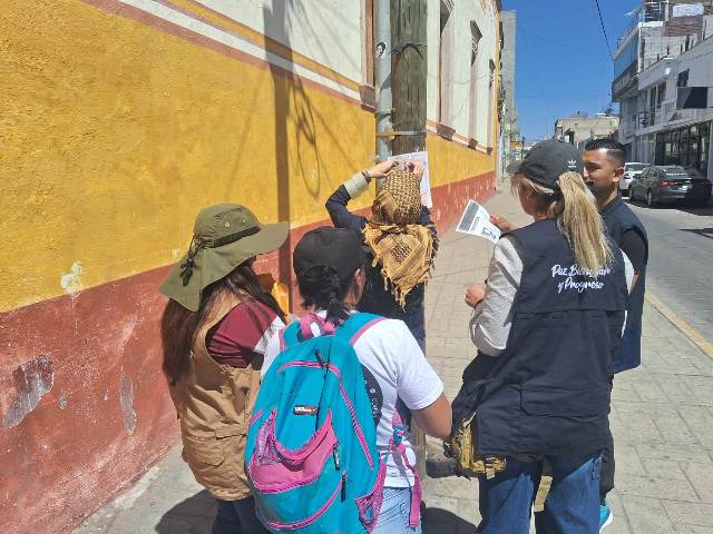 WhatsApp Image 2026 03 25 at 2.41.32 PM