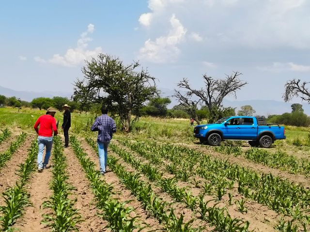 WhatsApp Image 2026 03 27 at 12.54.01 PM