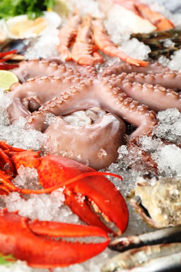 WhatsApp Image 2026 03 30 at 1.05.26 PM