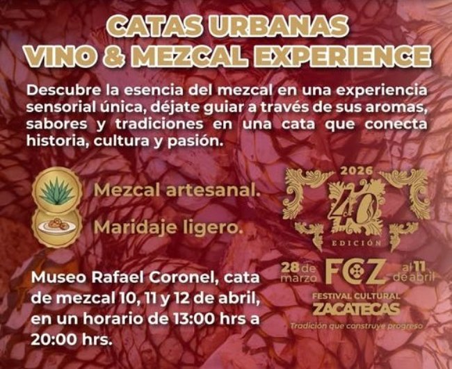 WhatsApp Image 2026 04 08 at 2.41.11 PM