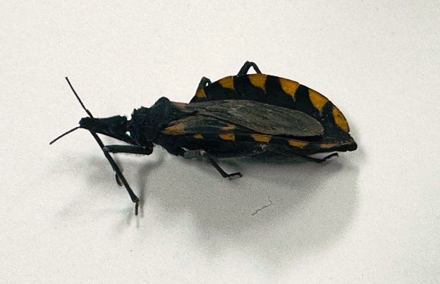 WhatsApp Image 2026 04 14 at 12.38.05 PM