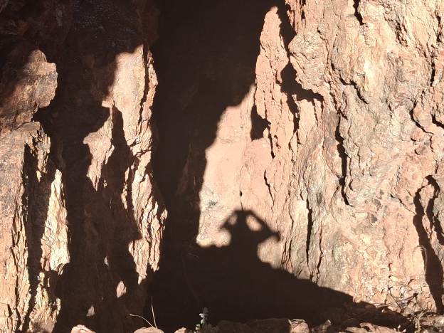 WhatsApp Image 2026 04 24 at 2.31.37 PM 1