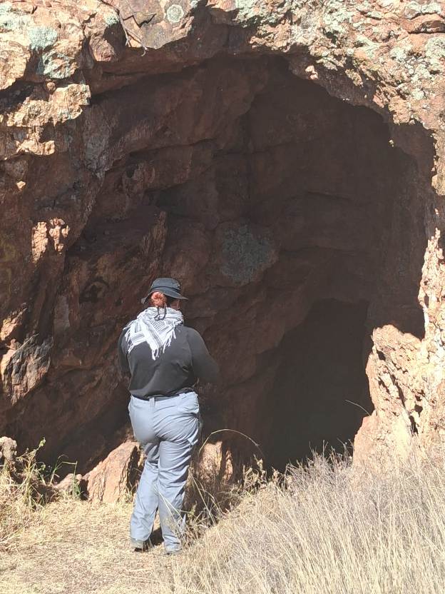 WhatsApp Image 2026 04 24 at 2.31.38 PM