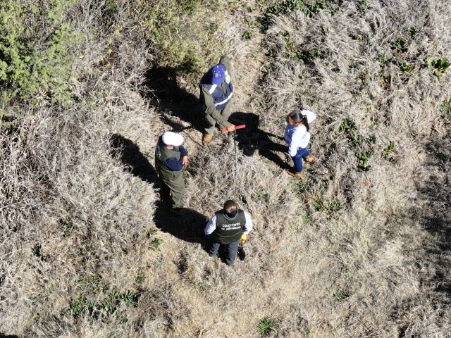 Predios inspeccionados por los buscadores ahi campo