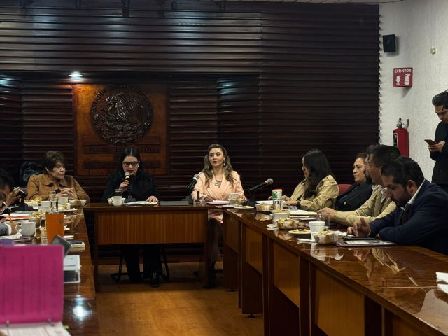 La funcionaria, ante la Comisión Legislativa de Igualdad Sustantiva entre Mujeres y Hombres ante la legis