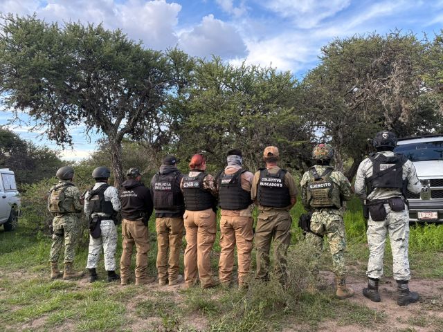 brigada corporaciones