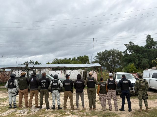 brigadas de busqeuedas