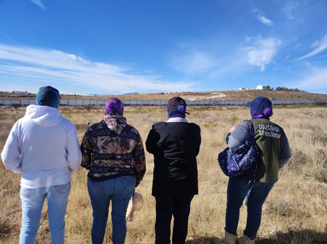 buscadores copy copy