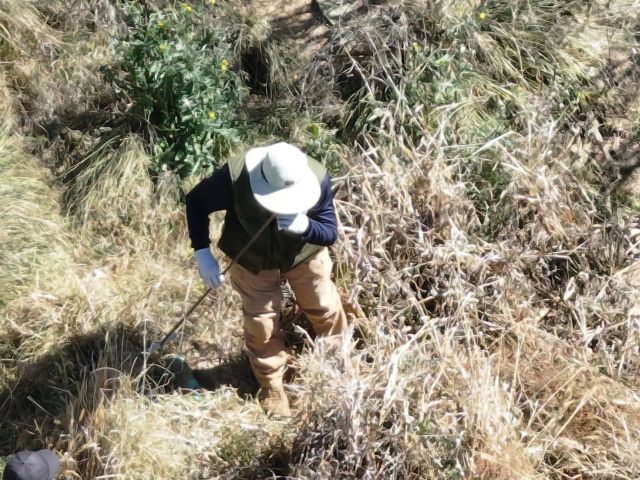 buscadores copy copy copy copy