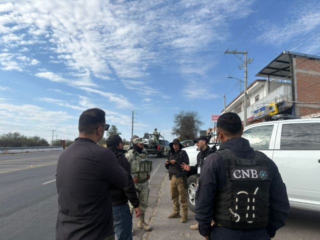 busquedas en Tepe 1 copy