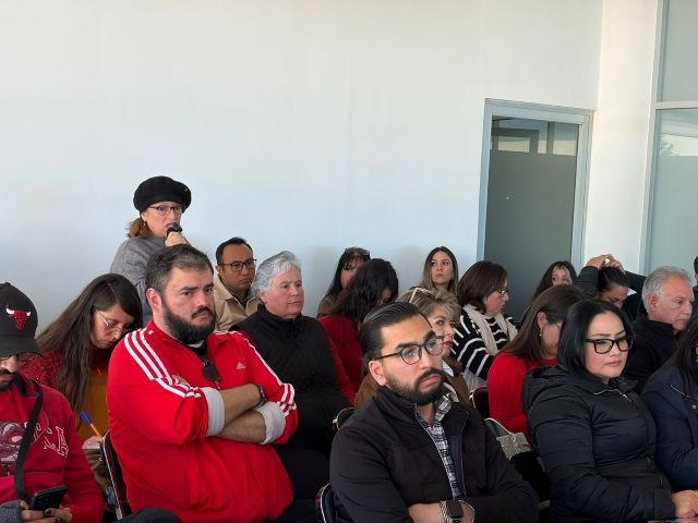 docentes en la revisn