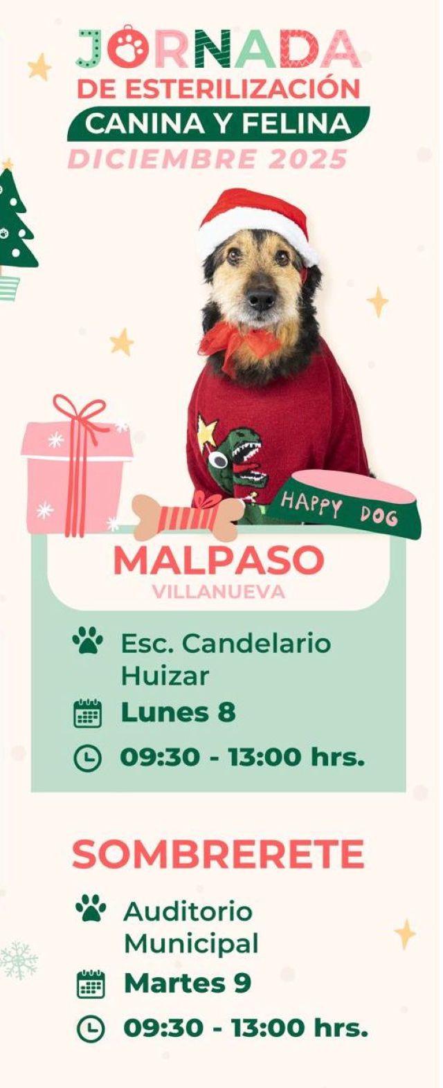 esterillizaciones mascotas