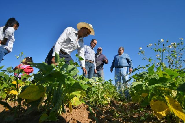 pepe saldivar frijol