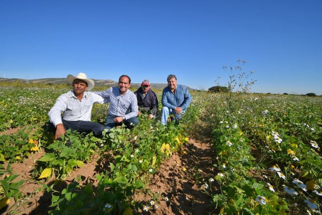 productores agricolas