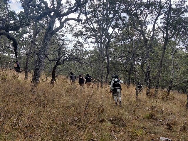 Fotos de la FGJEZ en los trabajos de búsquedas realizados hoy recorrido El Plateado