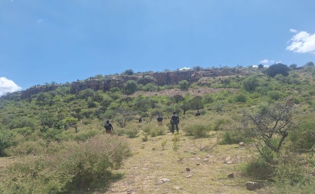 busquedas desapare