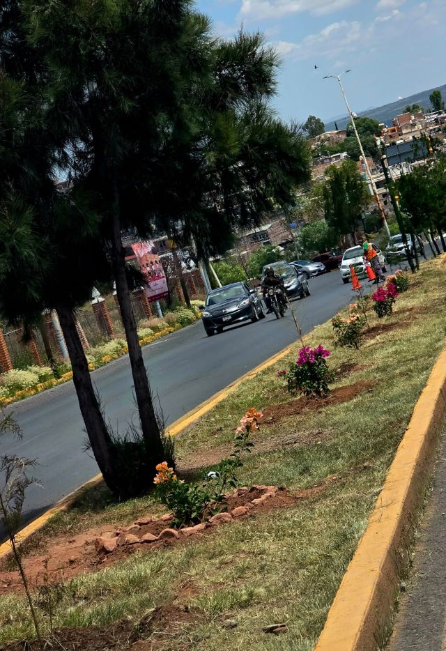 calzada