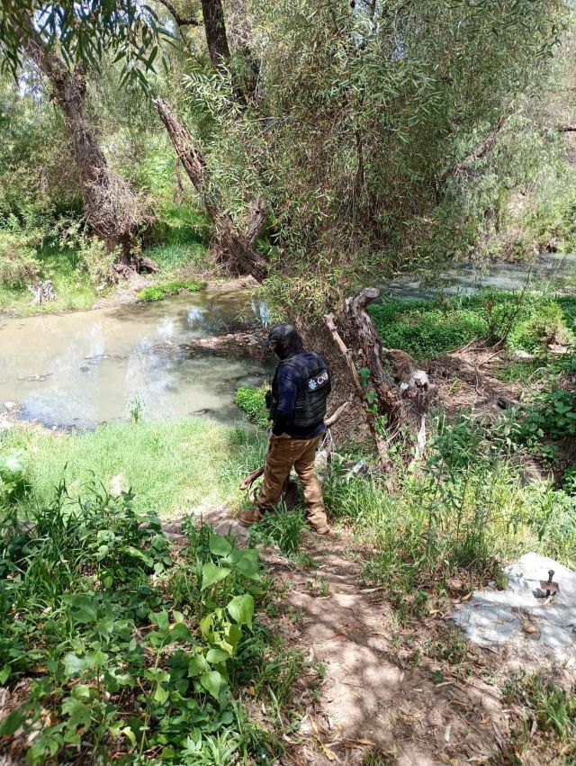 el arroyo copy