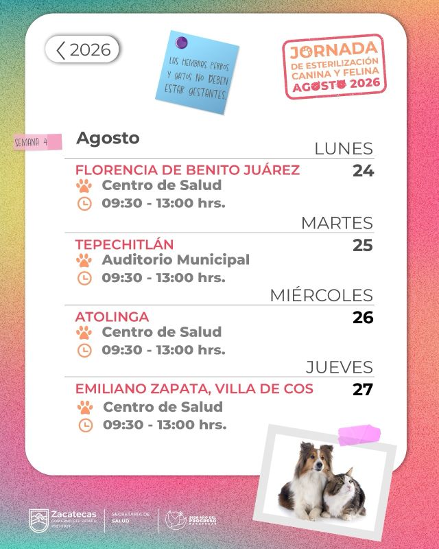 las mascotas