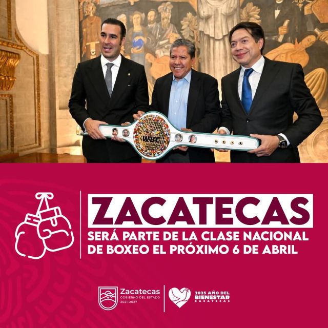 de boxeo