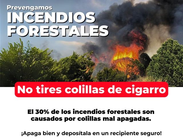 incendios forestales