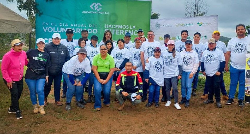 brigada reforesta