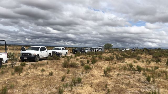 caravana busqueda