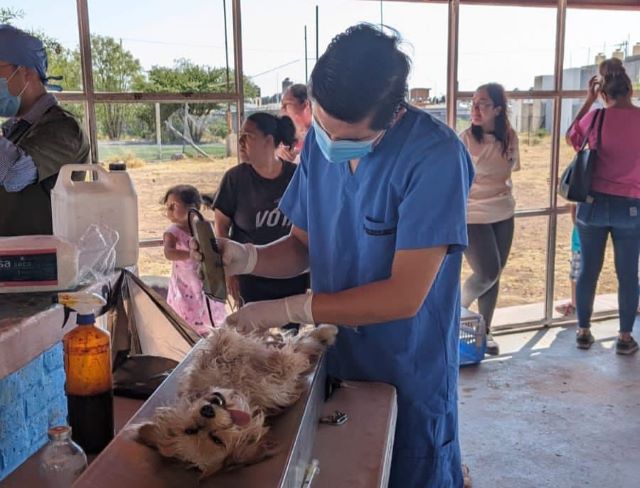 esterilizaciones