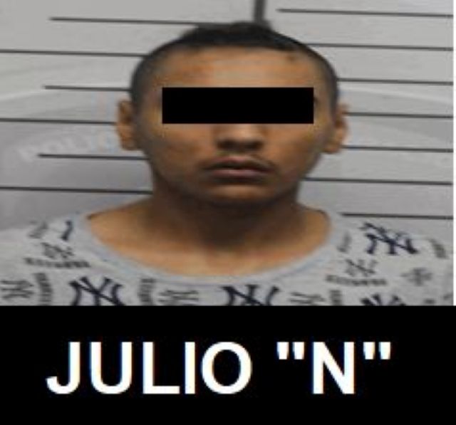 Julio N