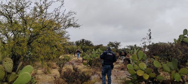 recorridos busqueda