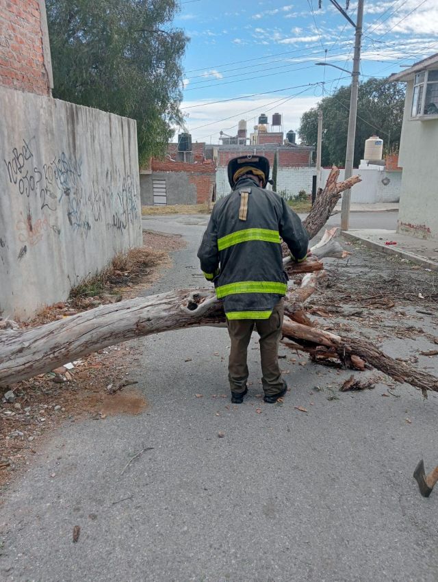 san jose de las piedreras