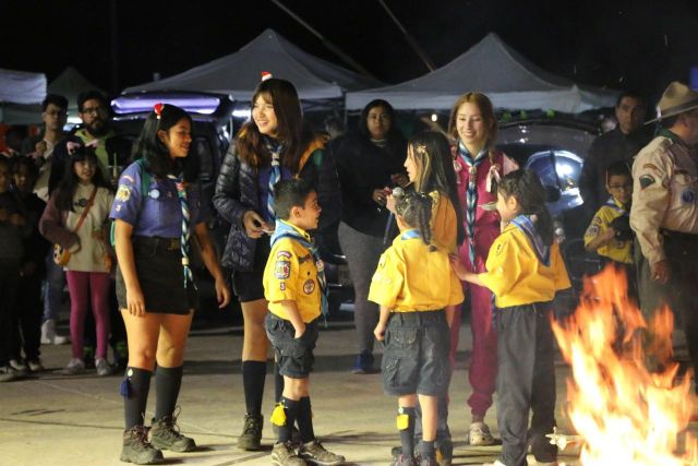 scouts fogara