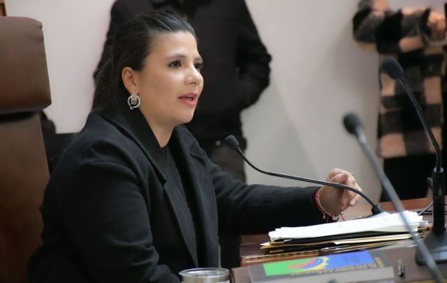Gabriela Pinwso Morales