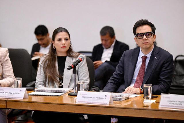 Rodrigo Reyes M
