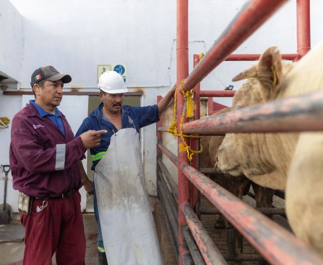 WhatsApp Image 2025 07 23 at 11.39.21 AM 1