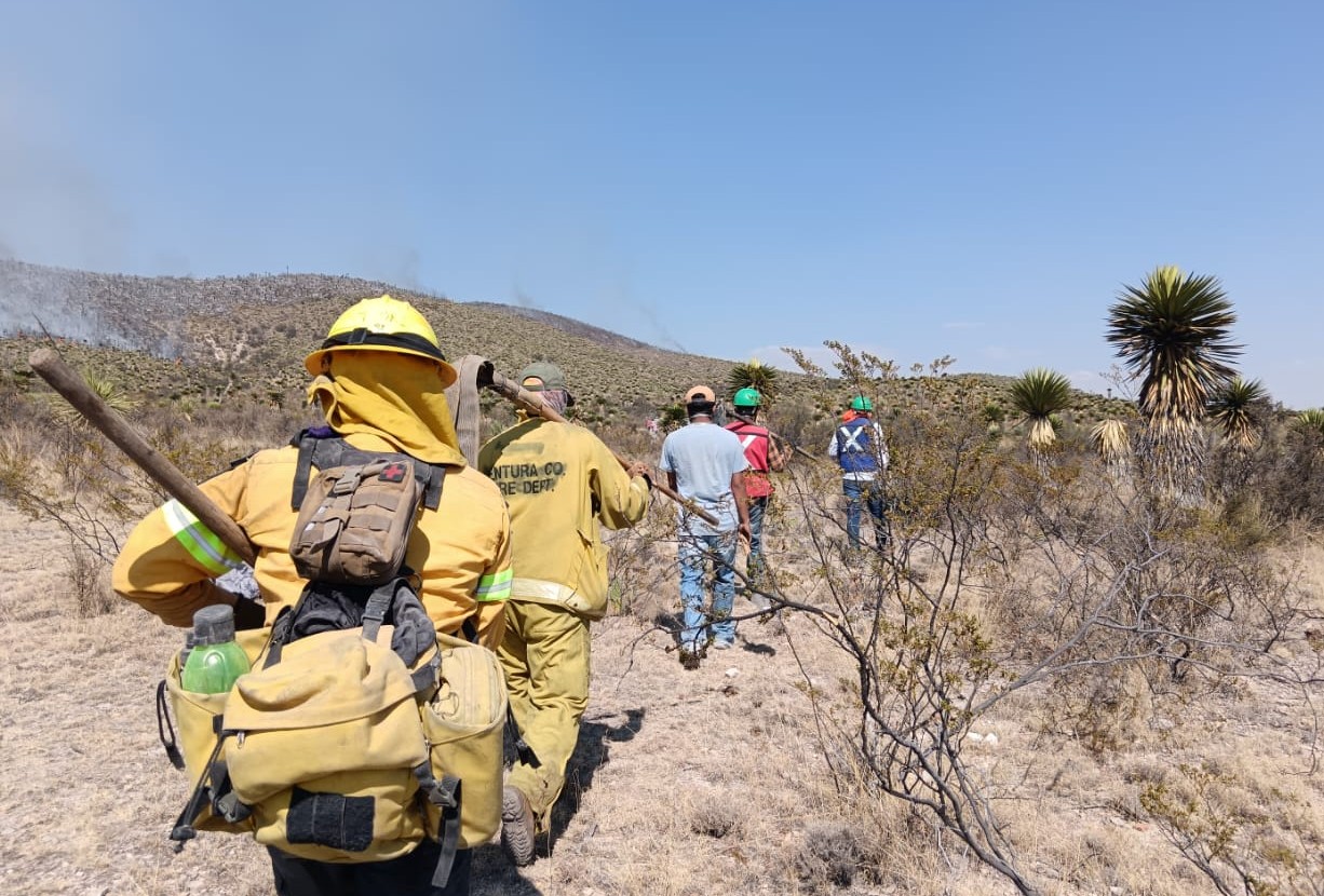 bombero brigadas
