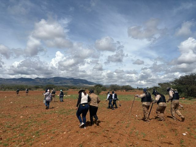 Brigadas de buscadores busquedas rural