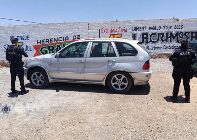 camioneta bmw