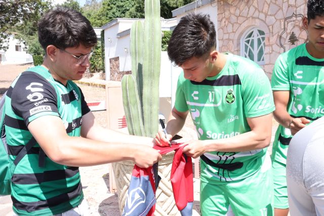 firmas fff