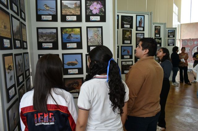 fotografias 