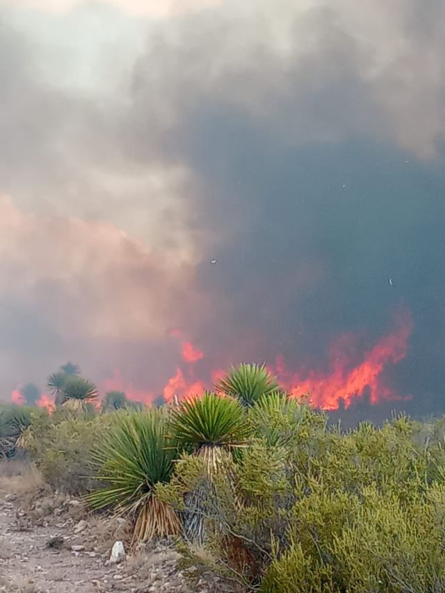 incendio Efigenia