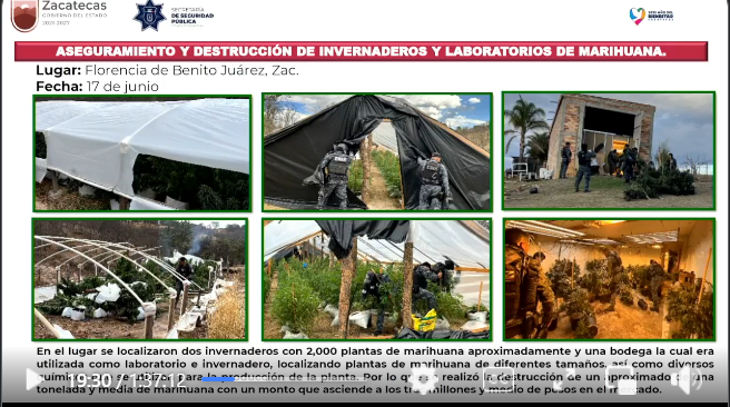 modalidad invernaderos