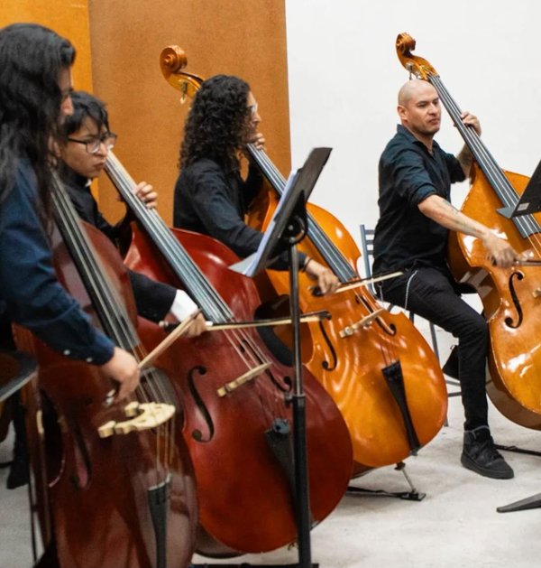 605 2026 UA de Artes busca despertar el interés por estudiar violoncello y contrabajo (11)