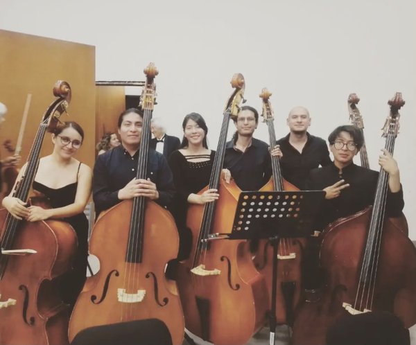 605 2026 UA de Artes busca despertar el interés por estudiar violoncello y contrabajo (12)