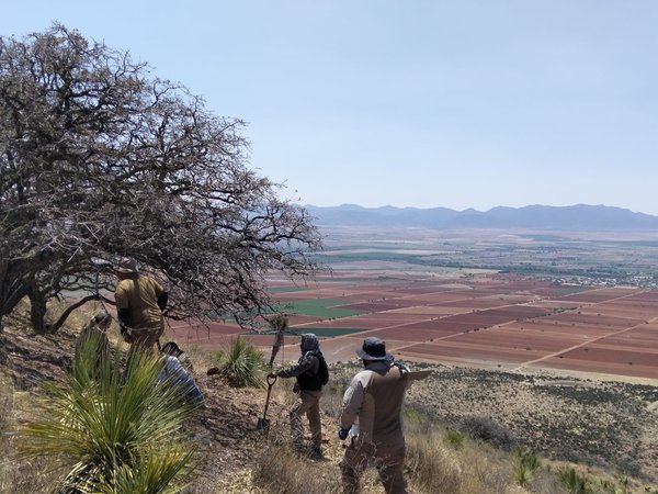 WhatsApp Image 2026 04 28 at 16.34.44 (2)