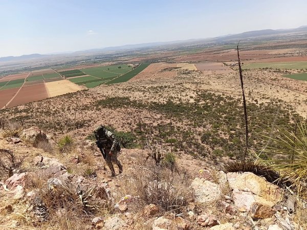 WhatsApp Image 2026 04 28 at 16.34.45